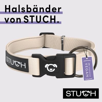 Thumbnail 1: STUCH Hundehalsband gepolstert - Beige - S