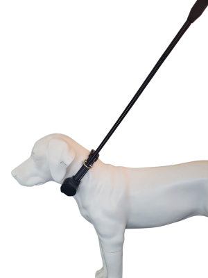 doddle for dogs Halsband mit integrierter Leine für große Hunde schwarz