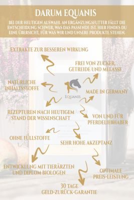 Thumbnail 3: Equanis BronchoActive – Atemwege Pferd