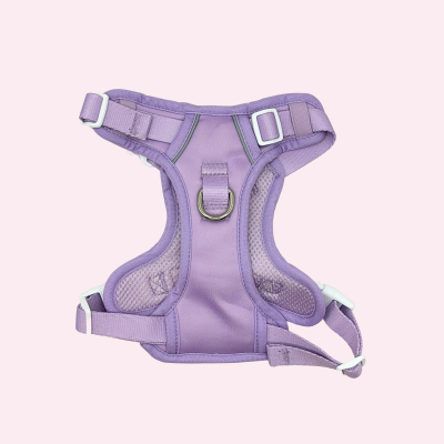 Thumbnail 5: SimplePets Alltagsheld-Geschirr in Lavender Lace