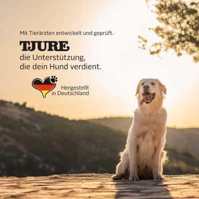 Thumbnail 2: TJURE TJURE - Ulmenrinde Liquid - 1.000 ml | Naturkraft für ein gutes Bauchgefühl