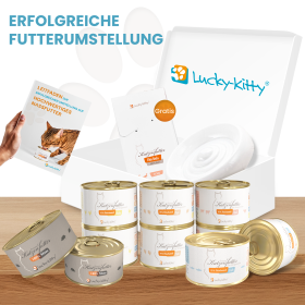 Lucky-Kitty Erfolgreiche Futter-Umstellung