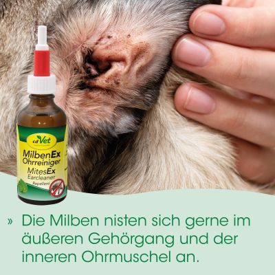 Thumbnail 6: insektoVet® MilbenEx Ohrreiniger 20 ml – Natürlicher Ohrreiniger mit Repellent-Wirkung gegen Milben