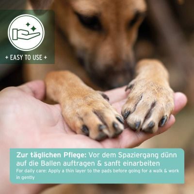 Thumbnail 7: AniForte Pfotenschutz Balsam
