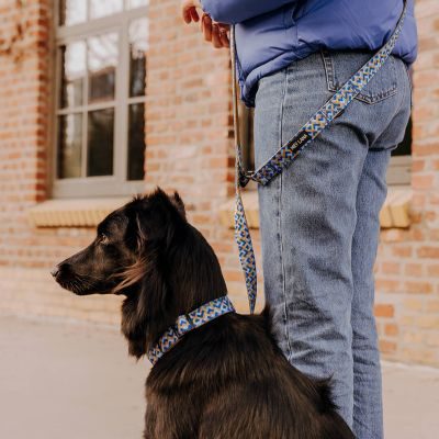 Thumbnail 5: Hey Lana Multifunktionsleine Kunterbunt Gepolstert - 3-fach verstellbar Mocca / Blau / 15/230