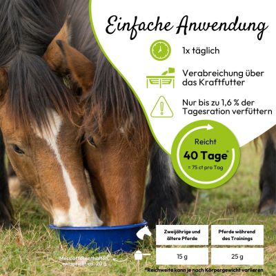 Thumbnail 4: PHA PHA Muskel & Leistung für Pferde