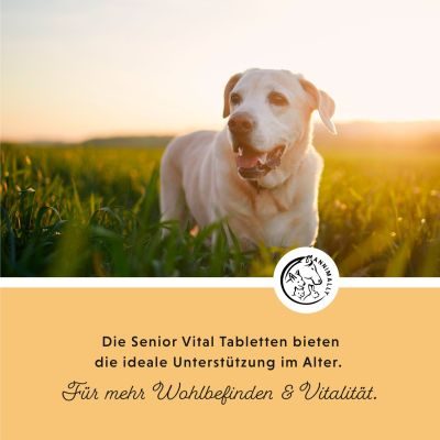 Thumbnail 2: annimally Senior Vital Tabletten