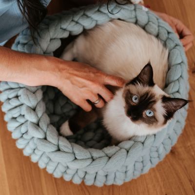 Thumbnail 4: stylecats® Katzenbett Boogie Color S (40 x 40 cm), mint