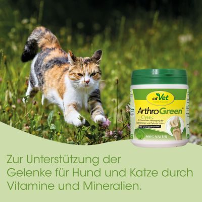 Thumbnail 2: cdVet ArthroGreen Classic 25 g - Natürliches Ergänzungsfuttermittel für Katzen und Hunde