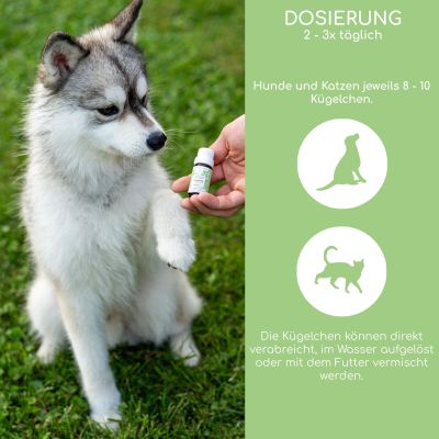 Thumbnail 7: Wolfsbacher Natur Bachblüten Globuli - Einsamkeit