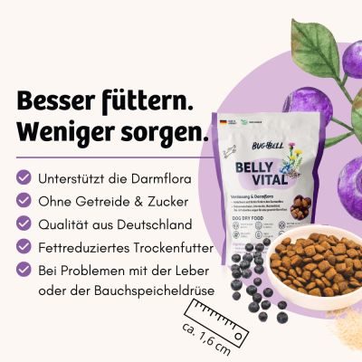 Thumbnail 6: BugBell Trockenfutter mit Insekten für Magen & Darm