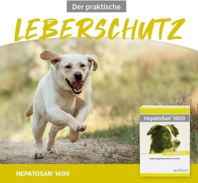 Thumbnail 6: alfavet HepatoSan 1600 unterstützt den Leberstoffwechsel von Hunden 32 Tbl.