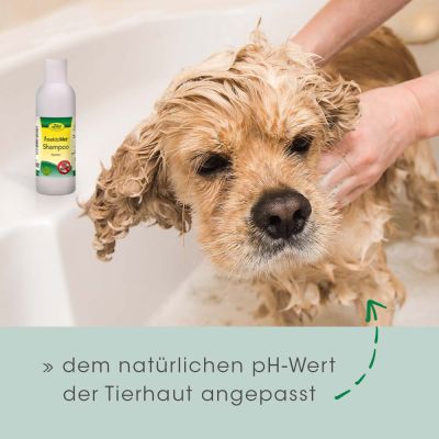 Thumbnail 4: insektoVet® Shampoo 200 ml – Pflegeshampoo zur natürlichen Geruchsmaskierung für Hunde & Katzen
