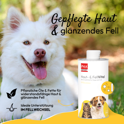 Thumbnail 2: PHA PetVet - PHA Haut- & FellVital für Hunde u. Katzen 250 ml - Flüssiges Ergänzungsfuttermittel - gepflegte Haut und glänzendes Fell durch essenzielle Fettsäuren