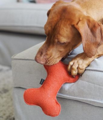 Thumbnail 5: CAFIDE Juguete Perro Teja, Play