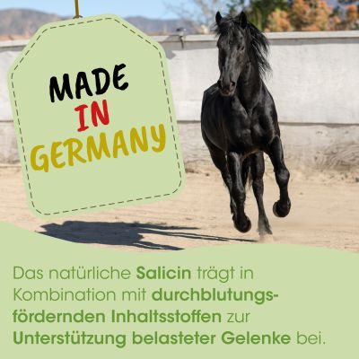 Thumbnail 7: cdVet ArthroGreen Lauf-Fit 50 ml - Flüssiges Ergänzungsfuttermittel für Hunde, Katzen & Pferde