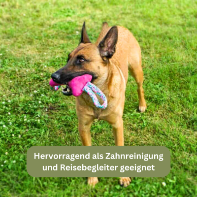 Thumbnail 2: Bettenhaus Traumhund® Traumhund® Kordelknochen