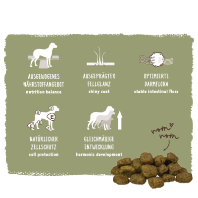 Thumbnail 7: bosch Tiernahrung HPC Geflügel & Hirse – Trockenfutter – Immun-Komplex – 1kg