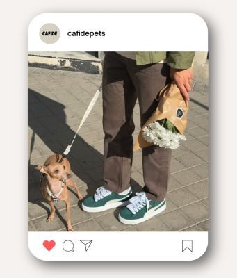 Thumbnail 5: CAFIDE Leine 1,2 m, recyceltes PET, Juno