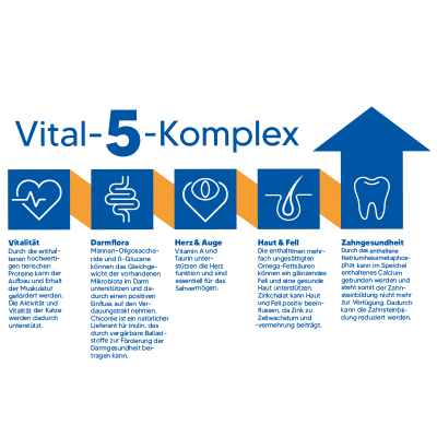 Thumbnail 3: NutriQM Adult Trockenfutter mit ITW-Siegel | für ausgewachsene Katzen | Nutriness Huhn 5 x 800g | ohne Zucker, Gluten & künstliche Zusätze