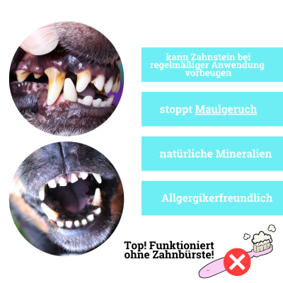 Thumbnail 2: BeG Buddy Zahnpulver mit Minze für Hunde, Zahnstein und Maulgeruch, 150 g