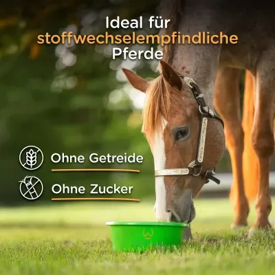 Thumbnail 3: winnies® winnies® Broncho-Immun