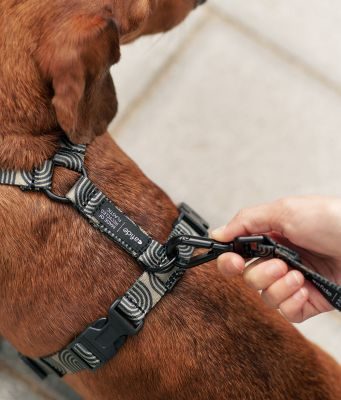 Thumbnail 2: CAFIDE Recyceltes PET-Geschirr, Juno