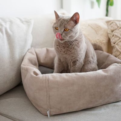 Thumbnail 2: stylecats® Katzenbett Dreamie S (40 x 40 cm), beige