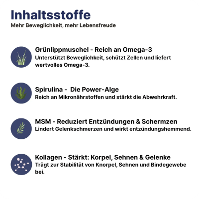 Thumbnail 2: Patsli Nahrungsergänzung für Katzen mit Arthrose und eingeschränkter Beweglichkeit