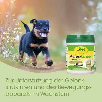Thumbnail 5: cdVet ArthroGreen Junior 100 Kapseln - Ergänzungsfuttermittel für Jungtiere