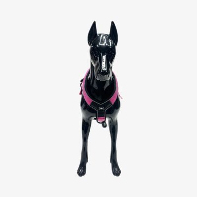 Thumbnail 3: Vitomalia Leichtes Y-Hundegeschirr mit Reflextionsstreifen in Pink
