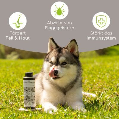 Thumbnail 2: Wolfsbacher Natur Bio Schwarzkümmelöl 250ml