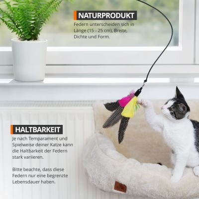 Thumbnail 2: SCHLITZOHR Ersatzfedern 5 stk. Classic