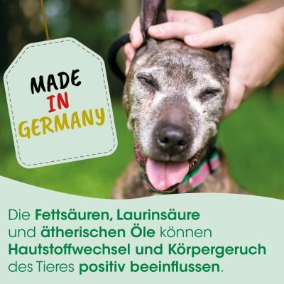 Thumbnail 4: insektoVet® Bio-Kokos-Schwarzkümmel-Öl 100 ml - Natürliches Ergänzungsfuttermittel für Hunde mit hochwertigen Bio-Ölen