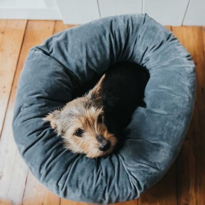 Thumbnail 3: HUNTER Hunde- und Katzenschlafplatz Miranda Ø 50 cm, anthrazit