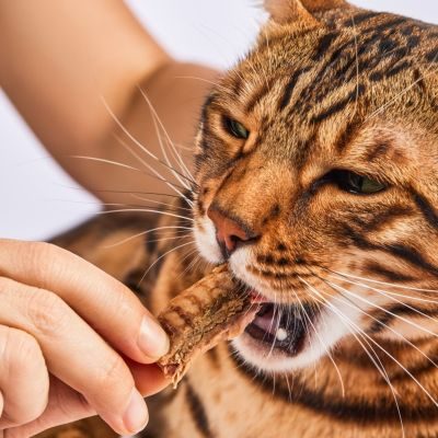 Thumbnail 2: Lucky-Kitty Filet-Sticks Thunfisch Premium-Qualität 20 x 22g