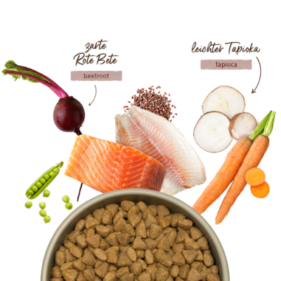 Thumbnail 2: bosch Tiernahrung HPC MENUE Nordsee-Lachs – getreidefreies Hundefutter – 12kg