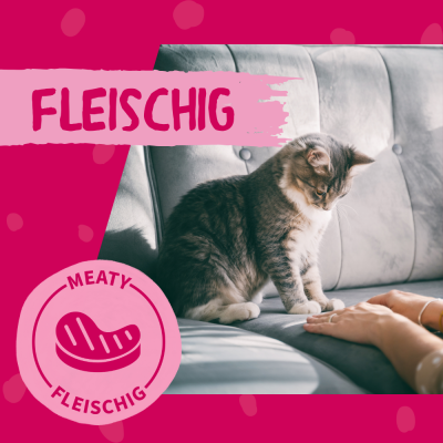 Thumbnail 2: Dokas Hühnchen-Rolle mit Thunfisch weiche Katzenleckerlis 32x 10g Multipack