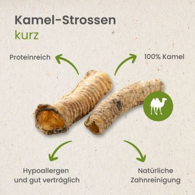 Thumbnail 4: kauartikel.com Kamel-Strossen, kurz - hypoallergener Hunde-Kauartikel - Hunde-Snack - Kausnack - Leckerli