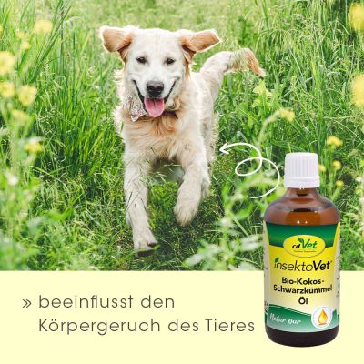 Thumbnail 2: cdVet insektoVet Bio-Kokos-Schwarzkümmel-Öl 100 ml für Hunde – BIO Ergänzungsfuttermittel