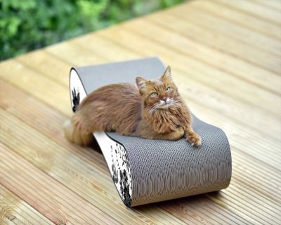 Thumbnail 3: cat-on LE VER L Design Kratzmöbel, weiß, schwarze Blumen (000c)