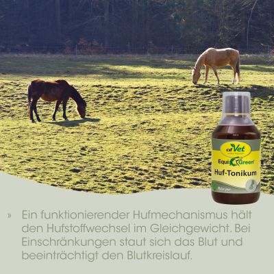 Thumbnail 2: cdVet EquiGreen Huf-Tonikum 250 ml – Ergänzungsfutterlösung für den Hufstoffwechsel bei Pferden