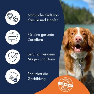 Thumbnail 2: Dr.Clauder’s Intestinal Emulsion - Aktiv Magen-Darm 150g