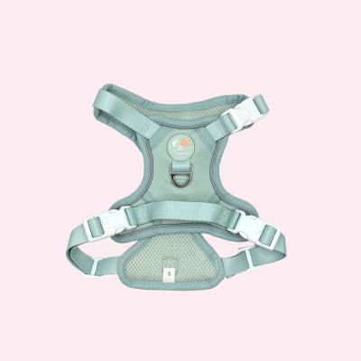 SimplePets Alltagsheld-Geschirr in Pastel Mint
