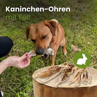 Thumbnail 2: kauartikel.com Kaninchen-Ohren mit Fell - Hunde-Kauartikel - Hunde-Snack - Hypoallergen-Kausnack - Hasen-Leckerli