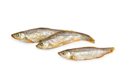 Thumbnail 3: Kaureks Natur Hundeleckerlies Omena Süßwasserfisch 800g