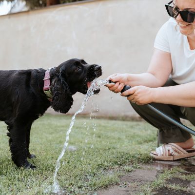 Thumbnail 4: HUNTER Halsung Sofia Alu-Strong L, himbeer