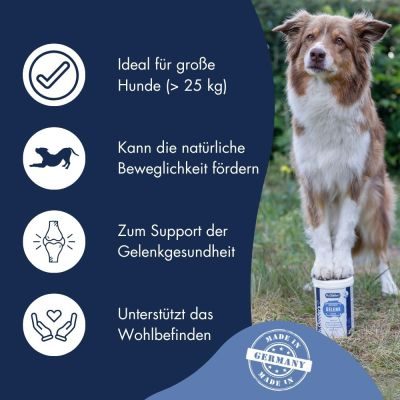 Thumbnail 4: Dr.Clauder´s Gelenk Pellets 675g