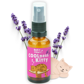 BeG Buddy Coolness Kitty Spray für Katzen, Beruhigung / Entspannung Katze