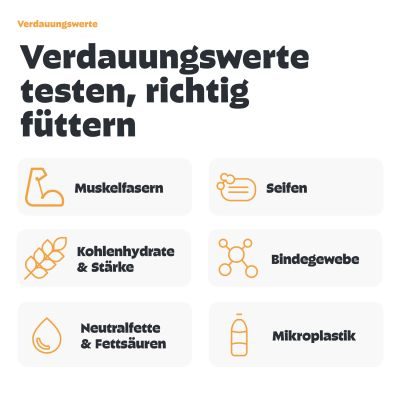 Thumbnail 3: Pezz Kotprofil für Hunde - 3in1 Test für eine umfassende Kotuntersuchung